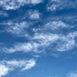 Meet your Posher, Lily